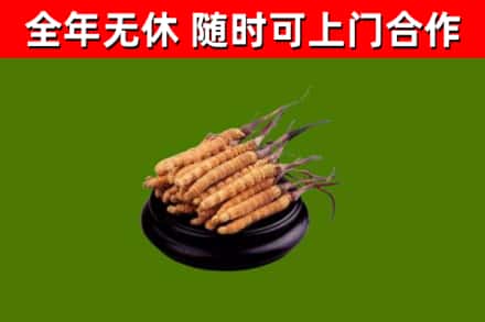 丹江口市烟酒回收冬虫夏草.jpg